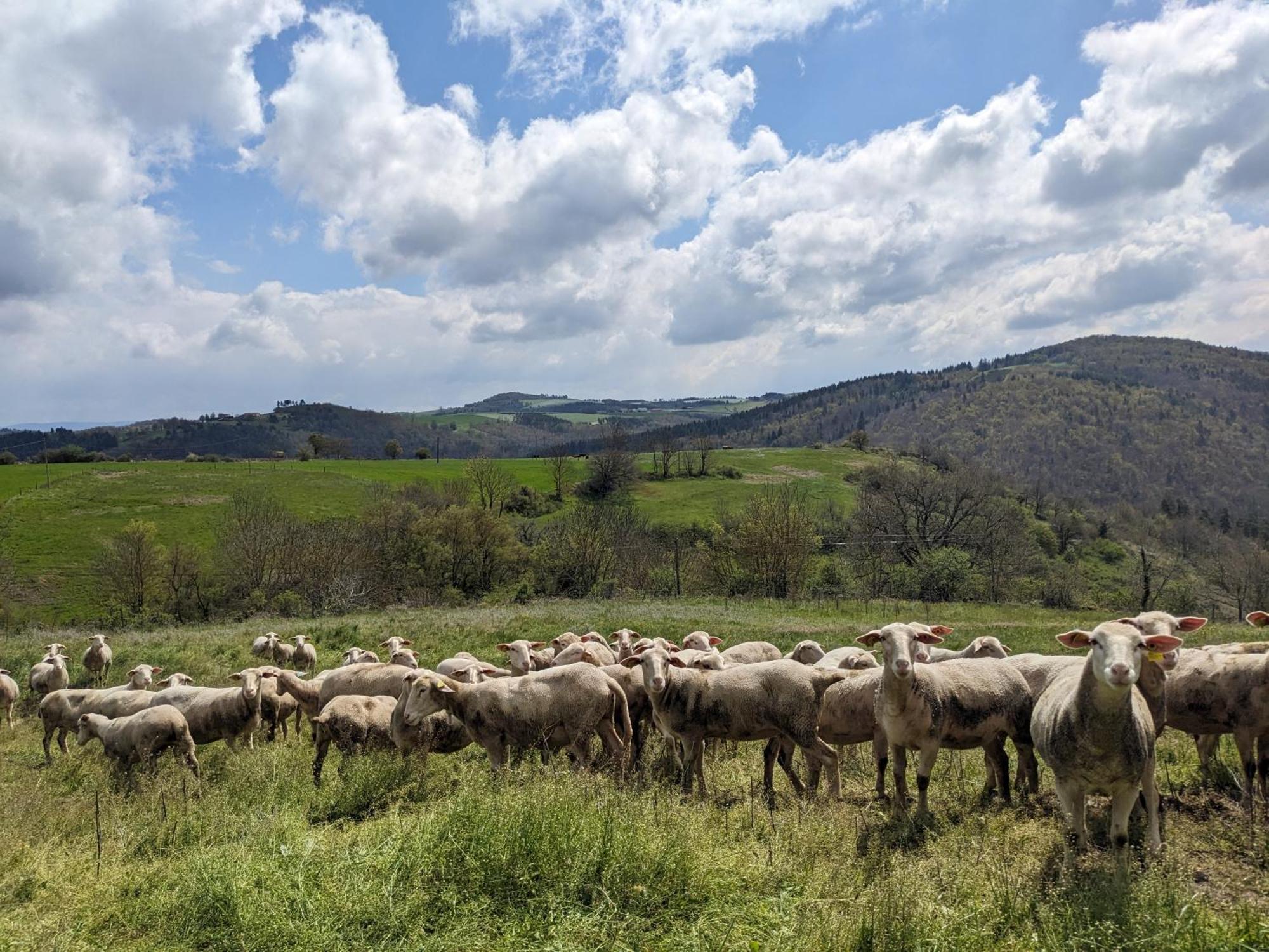 La Grange, Le Hameau Des Volcans - Deconnexion Face A La Vue Saint-Just-pres-Brioude Luaran gambar